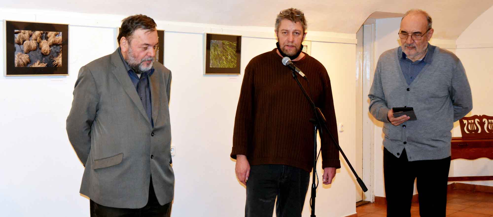 letformak-dallos-istvan