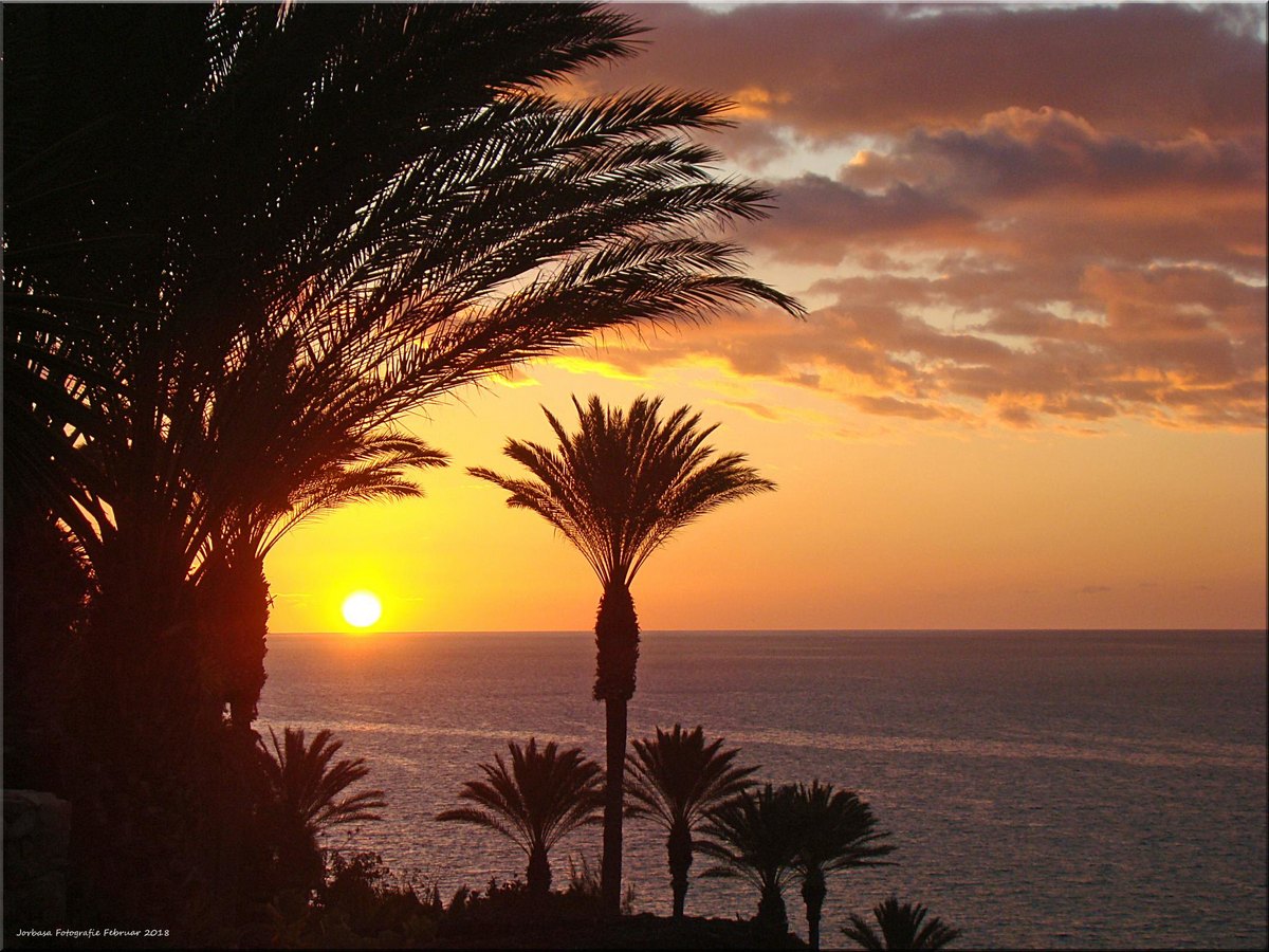 fuerteventura