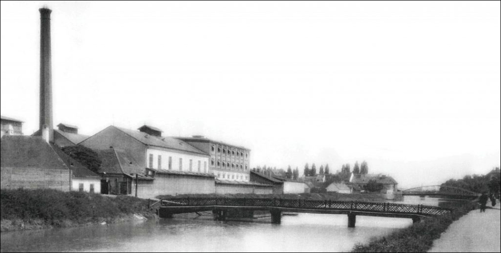 kohn-adolf-es-tarsa-olajgyara-tortenete