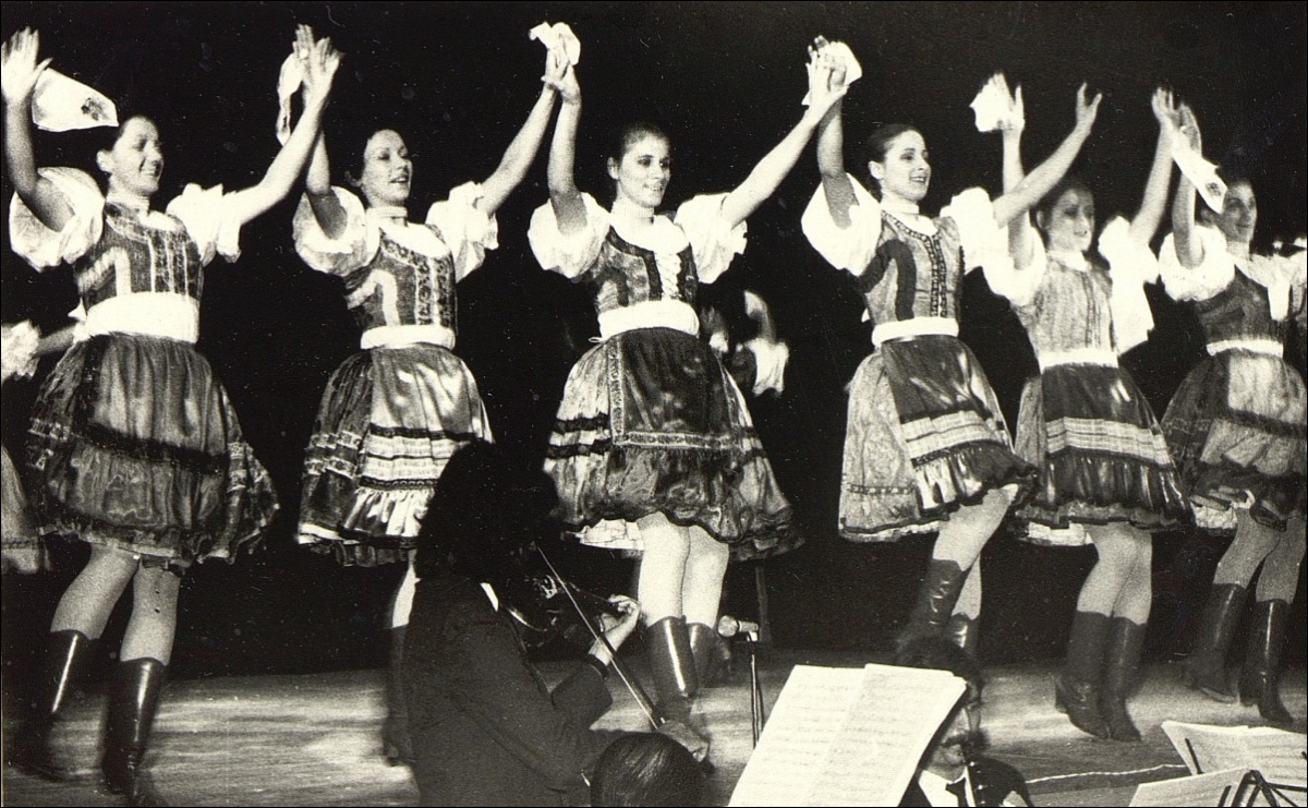 vasas-otthon-gyor