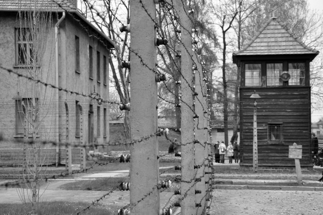 auschwitz-birkenau04