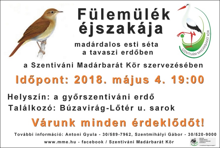 fulemulek-ejszakaja