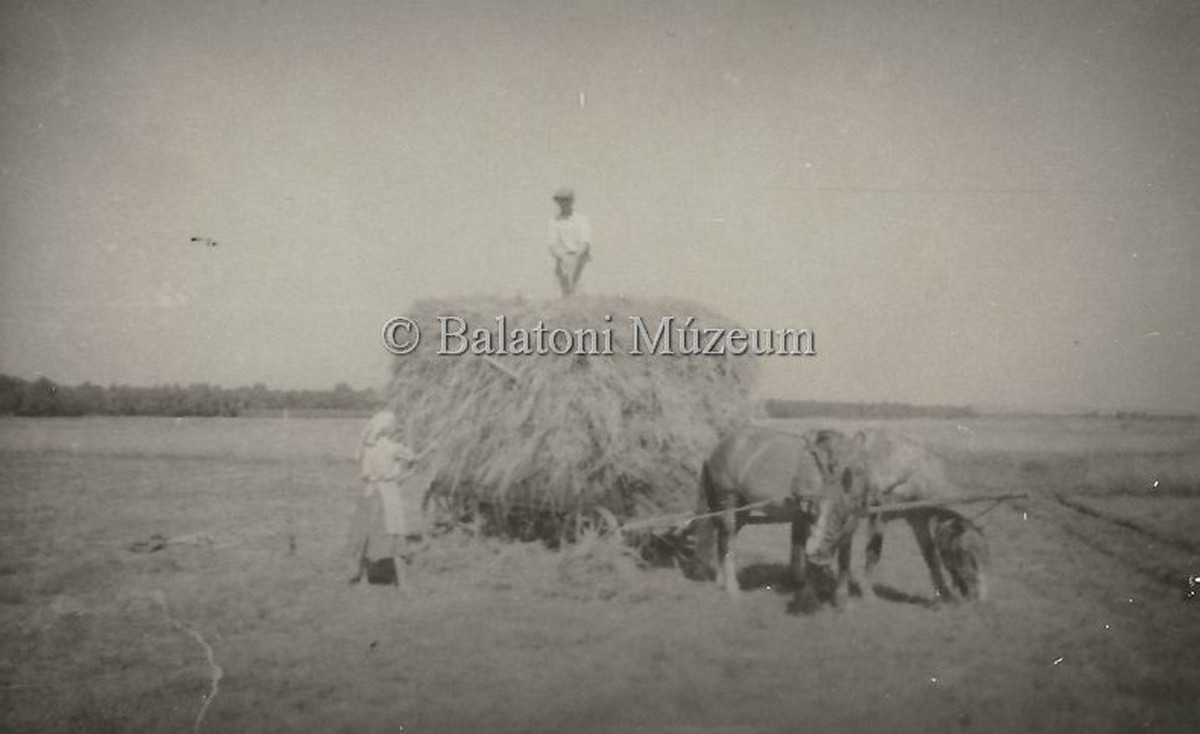 a-kaszalotol-a-kazalig-pajtaig-padláasig