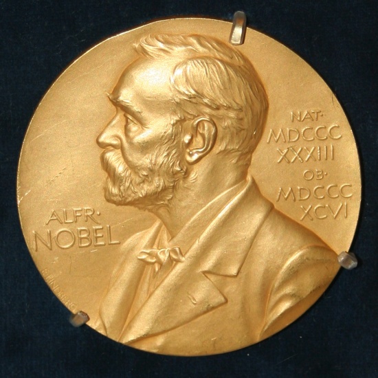 nobel-dij-erme