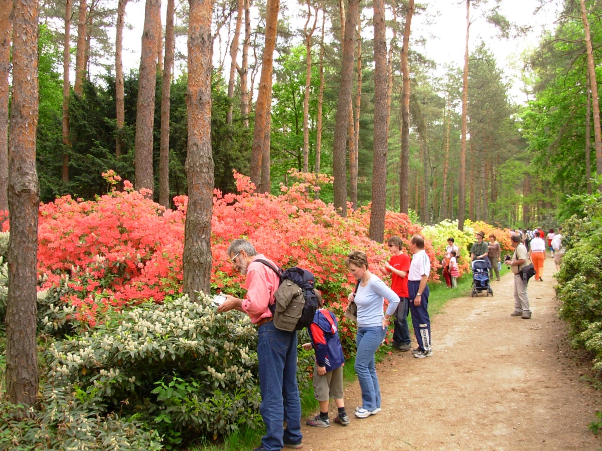 jeli-arboretum