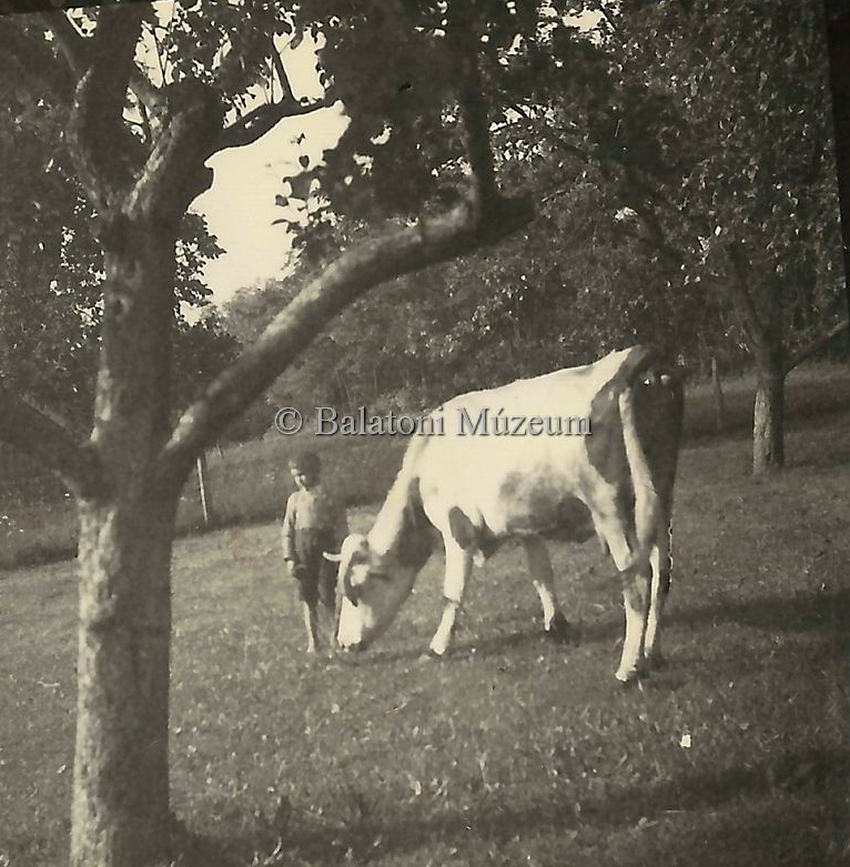 gyermekmunka-forumhungaricum