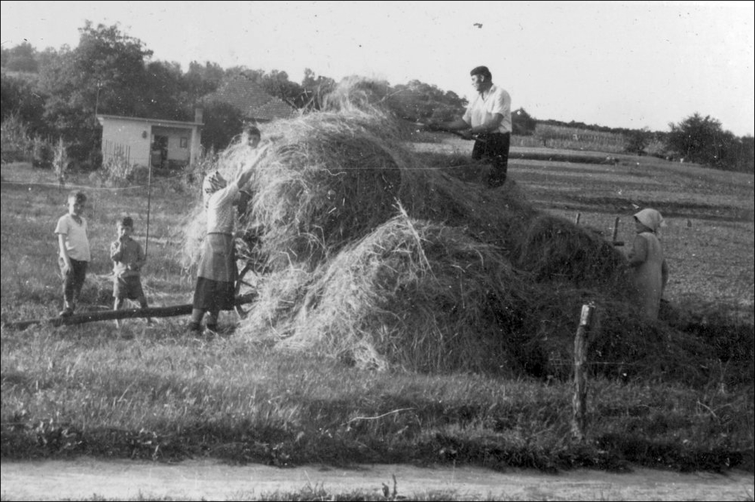 gyermekmunka-forumhungaricum