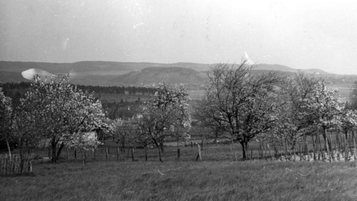 tavasz-forumhungaricum