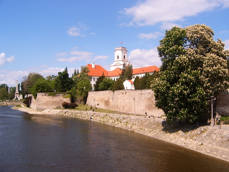 gyor-kaptalandomb-puspokvar