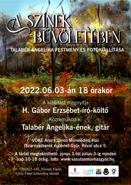 a-szinek-buvoleteben-kiallitas-voke