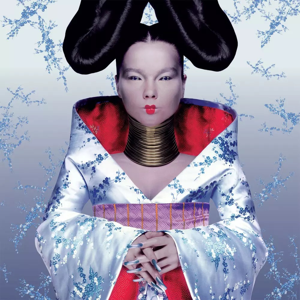 bjork-homogenic