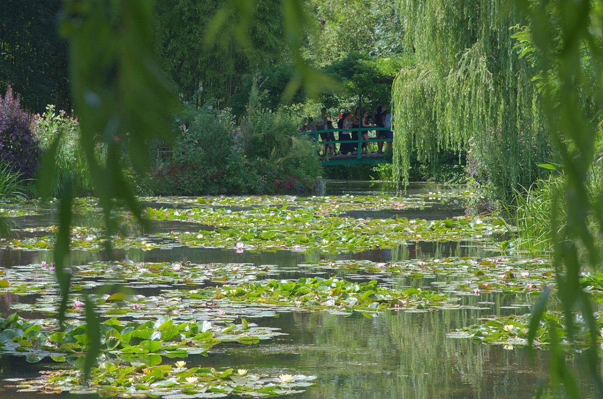 monet-kertje