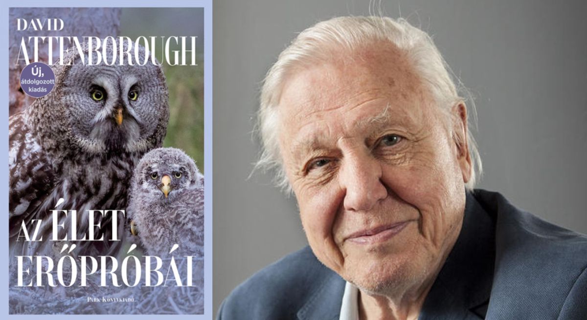 david-attenborough