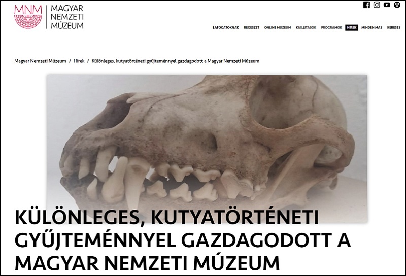 magyar-nemzeti-muzeum-kutyatorteneti-kiallitas