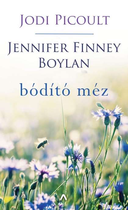 jodi-picoult-jennifer-finney-boylan-bodito-mez