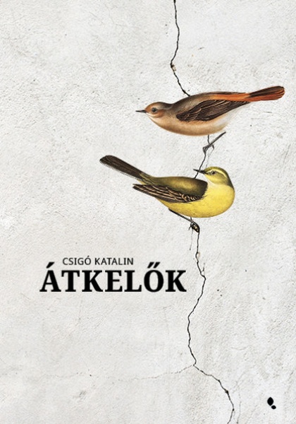 csigo-katalin-atkelok