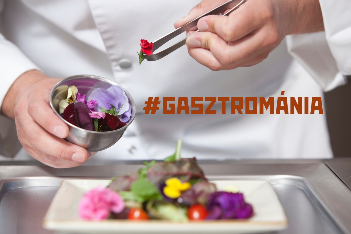 gasztromania-gyori-konyvtar