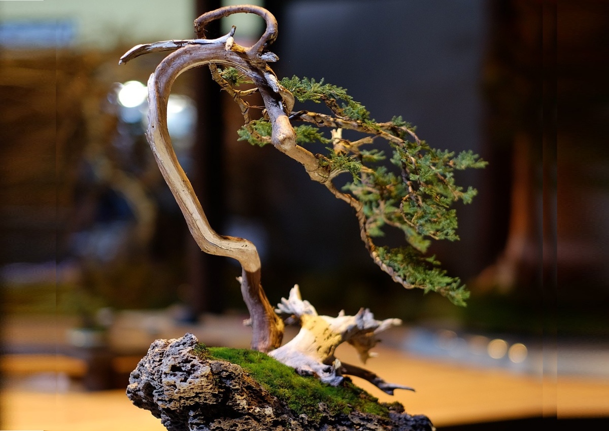pot-party-at-the-northwest-flower-and-garden-show