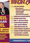 likocsi-majalis.jpg