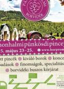 pannonhalmi-püskondi-pincejaras.jpg