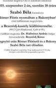 szabo-bela-kiallitas-bezeredj-kastely.jpg