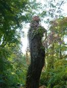 Szarvas_arborétum5.jpg