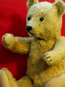 teddy-bear.jpg