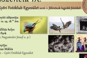 10-24eszencia.jpg