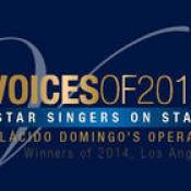voices-of-2014.jpg