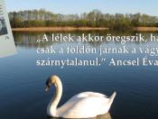 ancsel-eva.jpg
