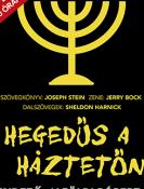 hegedus-a-hazteton-alfoldi.jpg