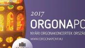 08-29orgonapont.jpg