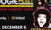 boogie_fest_gyor.jpg