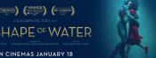 the-shape-of-water-poster.jpg