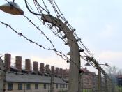 auschwitz-birkenau03.jpg