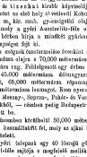 Kohn Adolf és Társa Olajgyára 09
