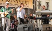 Milagro Santana Tribute Band