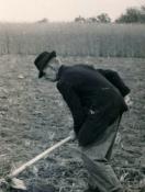 Kapáló június