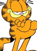 Garfield macska
