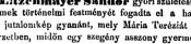 Liezen-Mayer Sándor 13