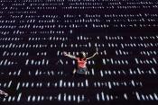 A brit Wired Aerial Theatre As The World Tipped című előadása (Mónus Márton fotója)