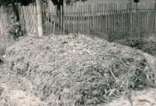 Ganajozás, trágyázás