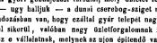 Győri Gőzhajózási Társaság 26