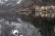 Hallstatt 31