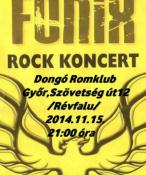 fonix-koncert.jpg