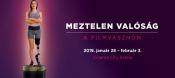 Budapesti Nemzetközi Dokumentumfilm Fesztiválon (BIDF) 2019