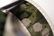 03-22pagony_diafilm.jpg