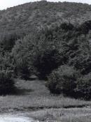 Szádvár