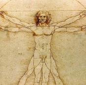 Leonardo da Vinci Vitruvius tanulmány