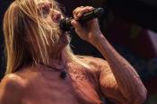 Iggy Pop a Budapest Parkban 10